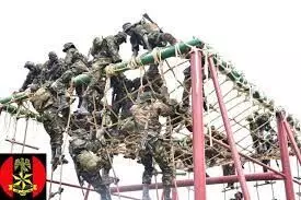 Nigerian Army to establish new training depot in Abakaliki – COAS