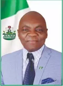 WHO appoints Nigeria’s Prof. Emeje to traditional medicine advisory group