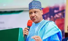 Nigeria-US joint airstrike hits terrorists — Sokoto Govt