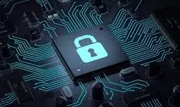 World data privacy day: NGO reiterates importance, necessity of data privacy, protection World data privacy day: NGO reiterates importance, necessity of data privacy, protection