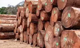 2026: Wood export ban  to  boost Nigeria’s furniture manufacturing
