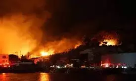 Japan sets up liaison office following successive wildfires Japan sets up liaison office following successive wildfires