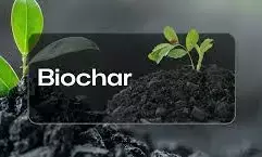 Embracing biochar innovation key to sustainable agriculture — Expert
