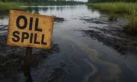 MOSOP seeks compliance with wetlands protection in Ogoniland oil plans