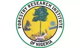 Forests can power Nigeria’s green economy, says FRIN DG Forests can power Nigeria’s green economy, says FRIN DG