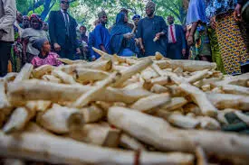 Kwara govt partners Olam Agri to tackle post-harvest losses Kwara govt partners Olam Agri to tackle post-harvest losses