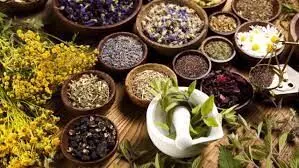 Kaduna Herbal Medicine Practitioner Complain of High Cost of Herbs