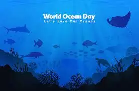 Environmentalists Seek End to Plastic Pollution