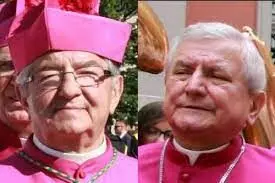 Vatican Punishes Polish Bishop Over Sex Abuse Negligence