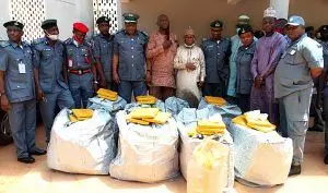 Customs Hands Over Banned Drugs Worth N22m to NDLEA