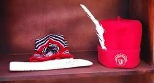 UK Igbo coalition seeks immediate implementation of open grazing ban