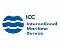 International Maritime Bureau Lists Ways to Tackle Piracy