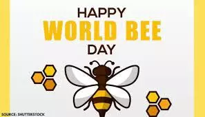NGO to mark World Bee Day with summit on awareness creation