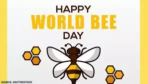NGO to mark World Bee Day with summit on awareness creation NGO to mark World Bee Day with summit on awareness creation
