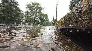 Environmentalist harps on clean drainages