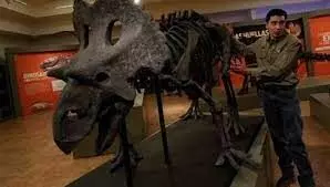 Mexican researchers discover new dinosaur species