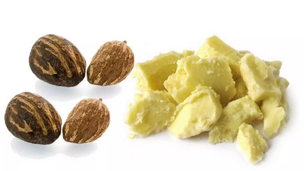 Africa to Raise $65.5m to Support Shea Production