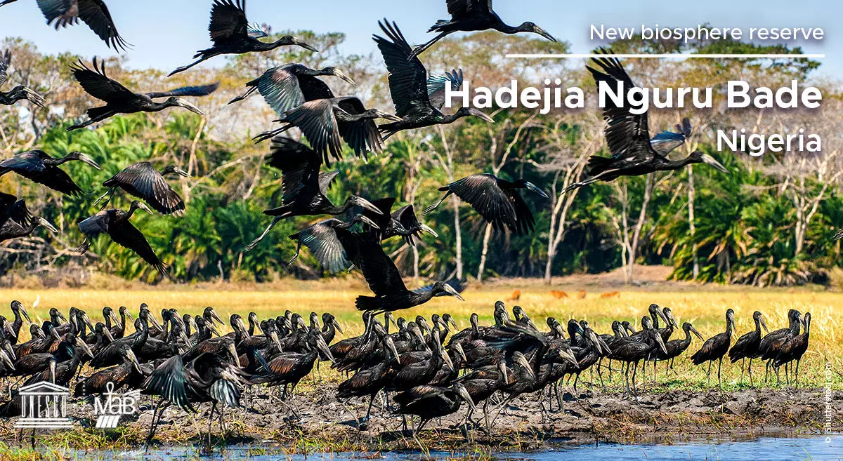 Jigawa Govt inaugurates committee for handover of Hadejia wetland park