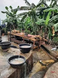 Lagos Govt. Dislodges 2 Illegal Slaughter Slabs, Arrests 3 Butchers Lagos Govt. Dislodges 2 Illegal Slaughter Slabs, Arrests 3 Butchers