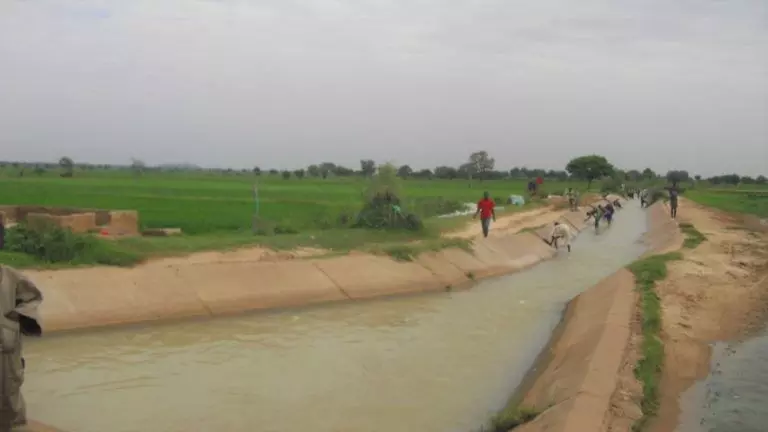 Irrigation: Kano Govt. Releases Water From Watari Dam Irrigation: Kano Govt. Releases Water From Watari Dam
