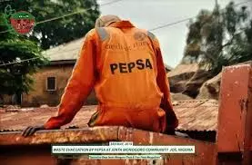 Ban on Planting Maize, Tall Crops in Residential Areas Still in Force – PEPSA