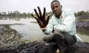 Group Demands Remediation of Pollution at Shell’s Facility in Bayelsa
