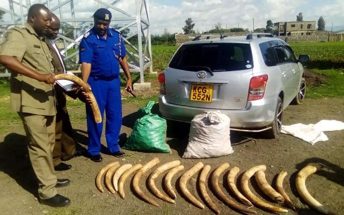 Uganda Jails 2 Over Illegal Possession of Ivory