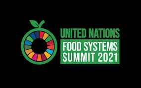 UN Food Systems Summit: Northeast Stakeholders Dialogue on Food Security
