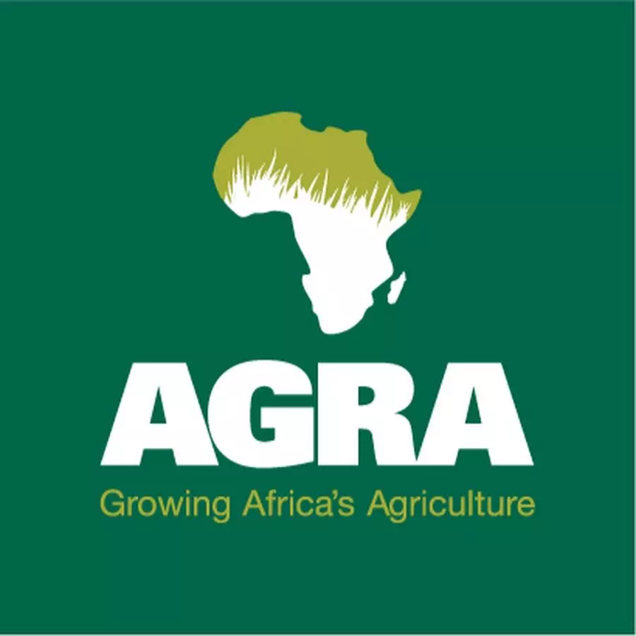 Plant nutrient deficiencies: AGRA identifies balanced fertiliser blends