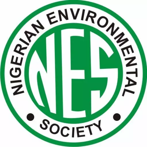 Tariff reduction for imported vehicles will ultimately harm Nigerian environment – NES Tariff reduction for imported vehicles will ultimately harm Nigerian environment – NES
