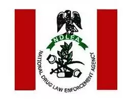 NDLEA arrests 262 suspected illicit drug peddlers in Edo