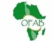 Food security: Expert urges FG to promote urban farming