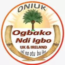 Igbo community in UK tasks S/East govs on protection of lives, property