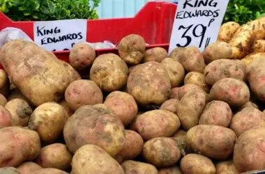 Potato Association Calls for Re-introduction