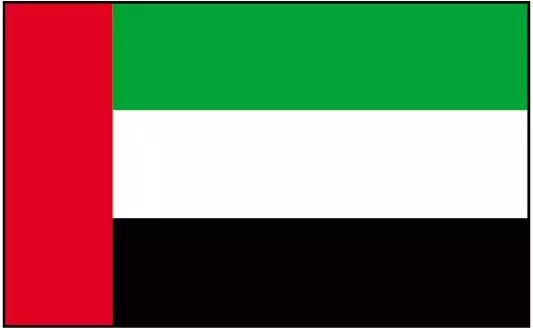 United Arab Emirates has Envoy  First Time