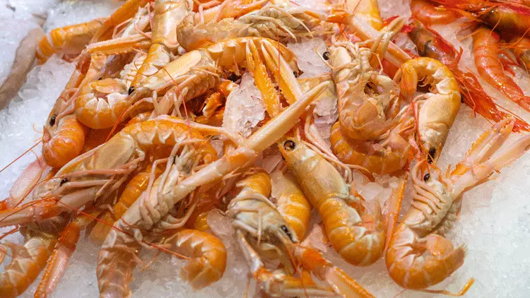 Britain Urges EU to Ease Seafood Import Restrictions