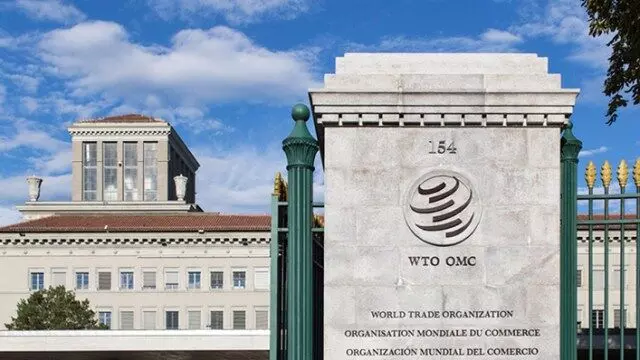 WTO: Okonjo-Iweala’s Appointment Victory for women globally