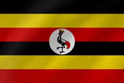 Ugandans turn out in droves to cast vote in historic election