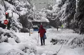 Record snowfall hits Japan, kills 13, injures hundreds