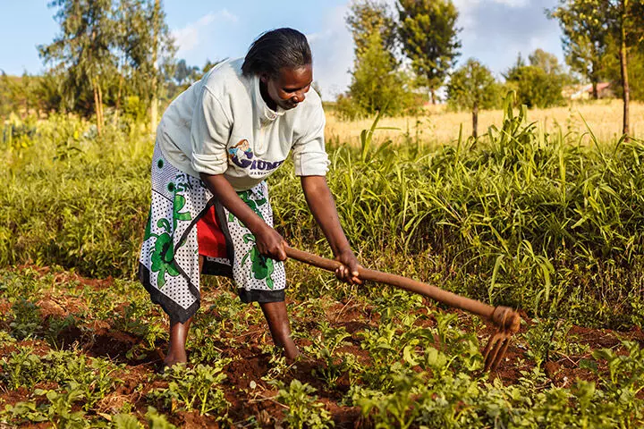 Nigeria@60: Farmer lauds FG’s new initiative on promoting agriculture