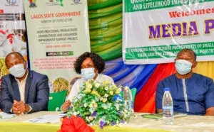 Lagos APPEALS project promises 1,465 businesses for women, youths, others in 2021