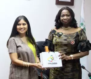 Dabiri-Erewa commends CBN for Diaspora-friendly Forex policy Dabiri-Erewa commends CBN for Diaspora-friendly Forex policy