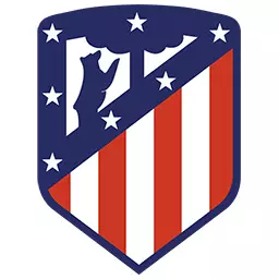 Atletico Madrid resume training as rest of squad test negative for COVID-19