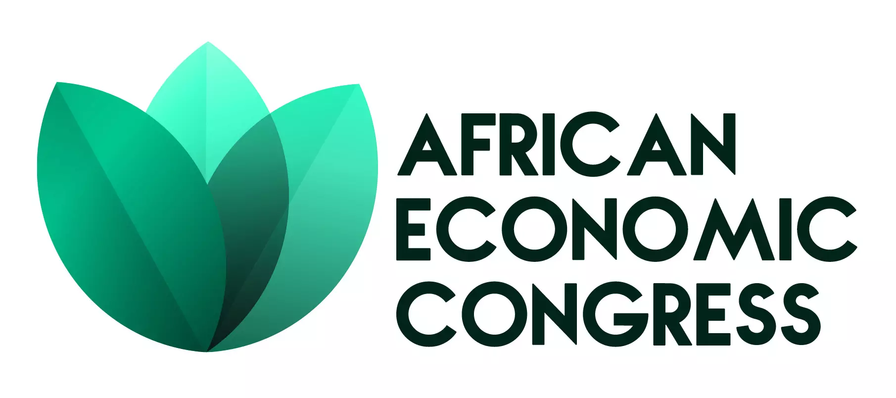 African Economic Congress opens portal to select credible entrepreneurs