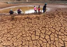 Southern African Country, Namibia experiencing worst drought in 90 years – Parliament Speaker says