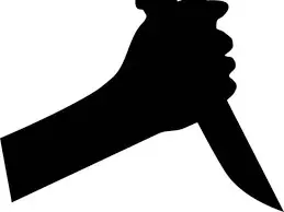 35-year-old man stabs his 45-year-old stepmother to death, remanded in court