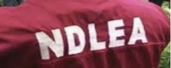 We have plans to engage secondary school teachers in fight against drug abuse – Jigawa NDLEA We have plans to engage secondary school teachers in fight against drug abuse – Jigawa NDLEA