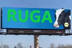 RUGA: FGS policy will boost VCD in livestock sector – AFAN