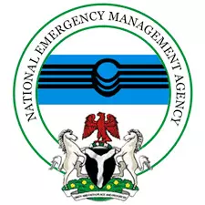 NEMA speaks on Xenophobia: First batch of Nigerians ready for evacuation from South Africa