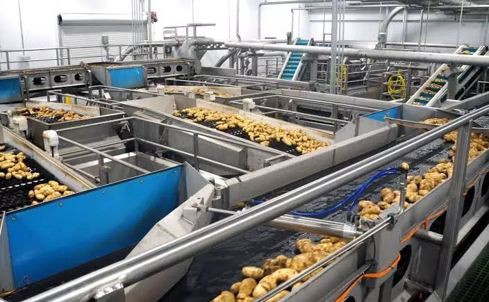 120 tons of processing plant in sight: Local entrepreneur to build potatoes plant in Anambra 120 tons of processing plant in sight: Local entrepreneur to build potatoes plant in Anambra